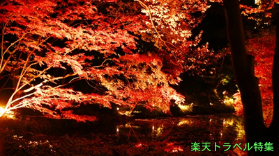 関東の紅葉 28選