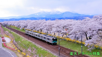 絶景！全国の桜の名所