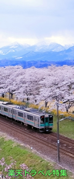 絶景！全国の桜の名所