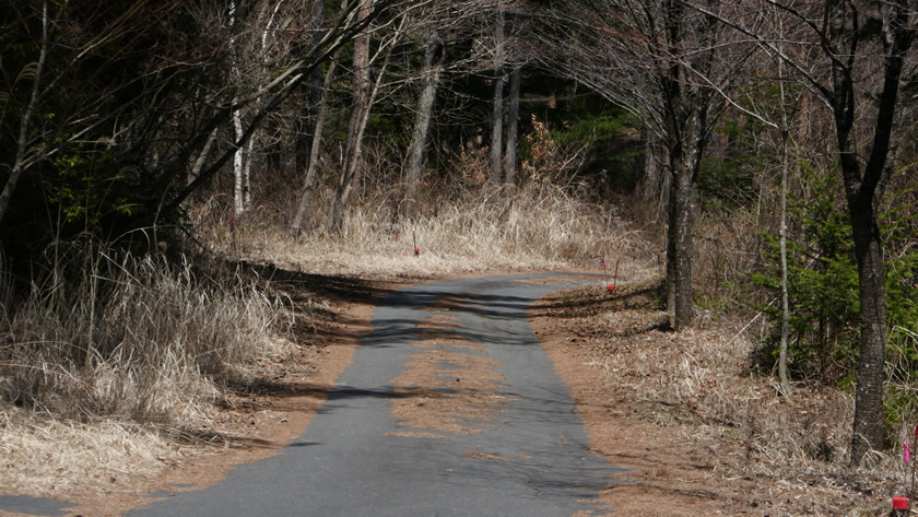 高鳥谷山