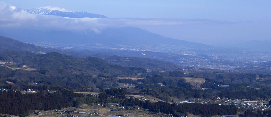 新井展望公園