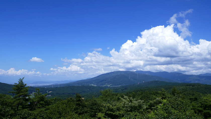 しだれ栗展望台