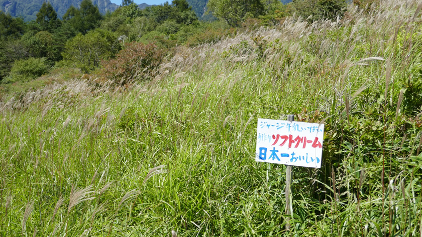 美し森 展望台