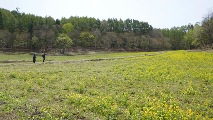 中山高原