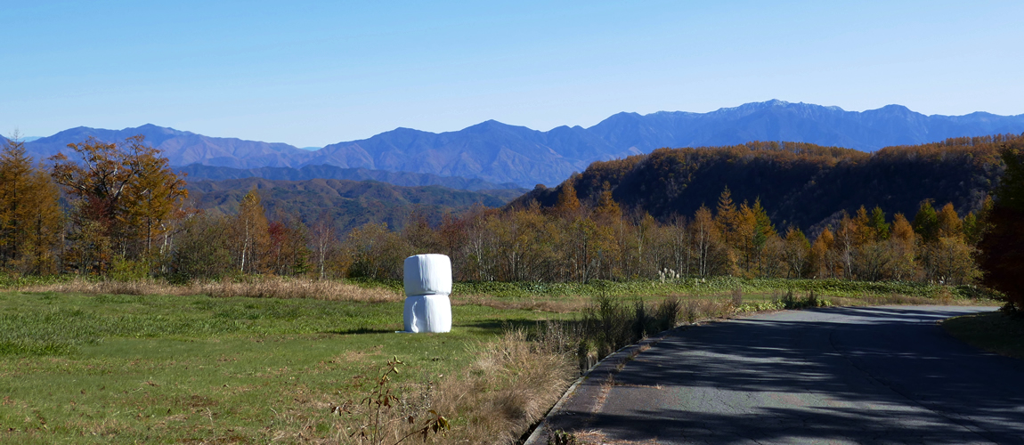 御岳ブルーライン