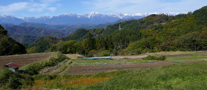 原田沖の棚田