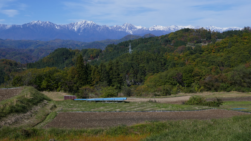 原田沖の棚田