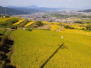 姨捨の棚田